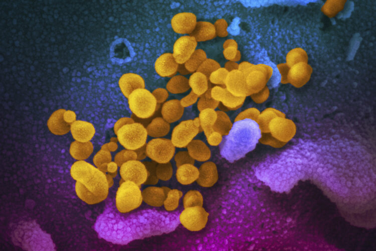 Brain fog and other long COVID symptoms affect millions.  New treatment studies bring hope